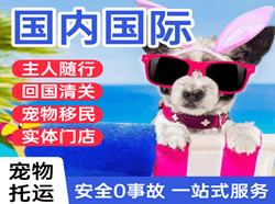 福成机场邮寄国际宠物托运 【国